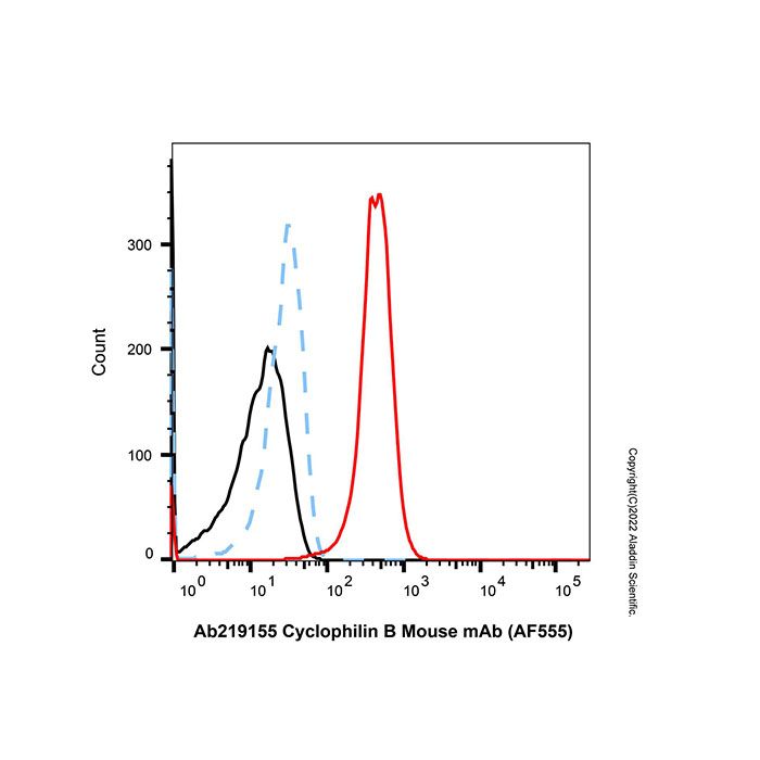 Cyclophilin B Mouse mAb (AF555)