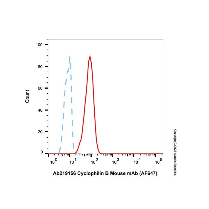 Cyclophilin B Mouse mAb (AF647)
