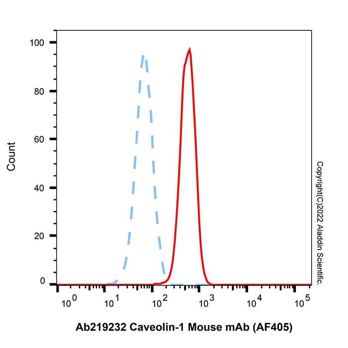 Caveolin-1 Mouse mAb (AF405)