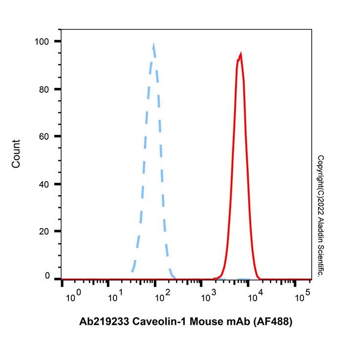 Caveolin-1 Mouse mAb (AF488)