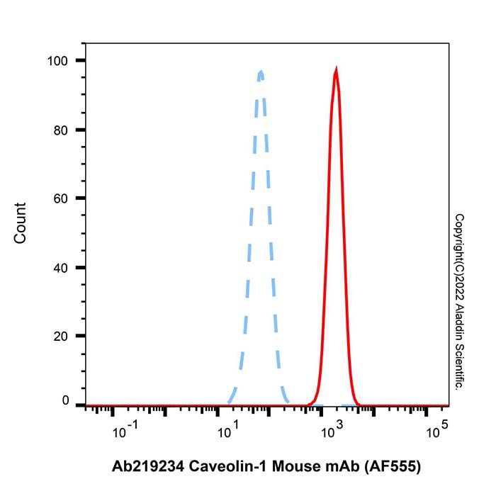 Caveolin-1 Mouse mAb (AF555)