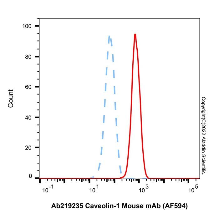 Caveolin-1 Mouse mAb (AF594)