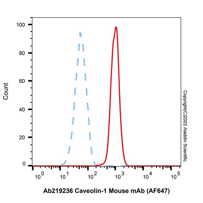 Caveolin-1 Mouse mAb (AF647)