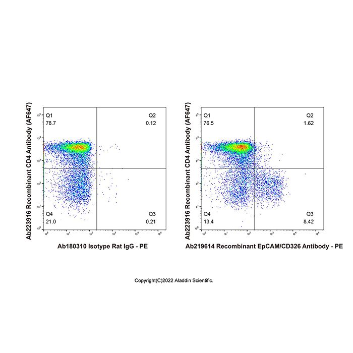 Recombinant EpCAM/CD326 Antibody