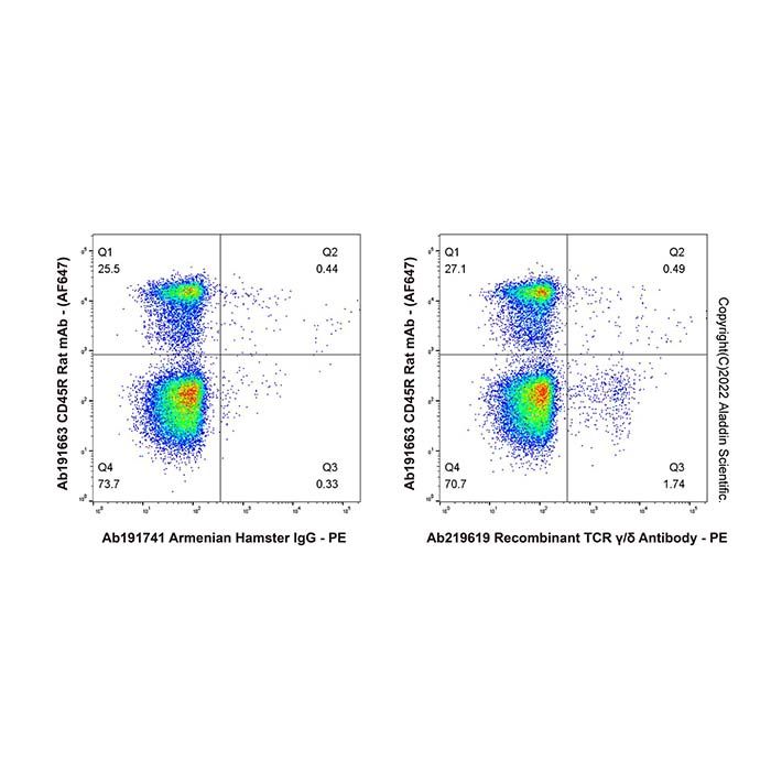 Recombinant TCR γ/δ Antibody