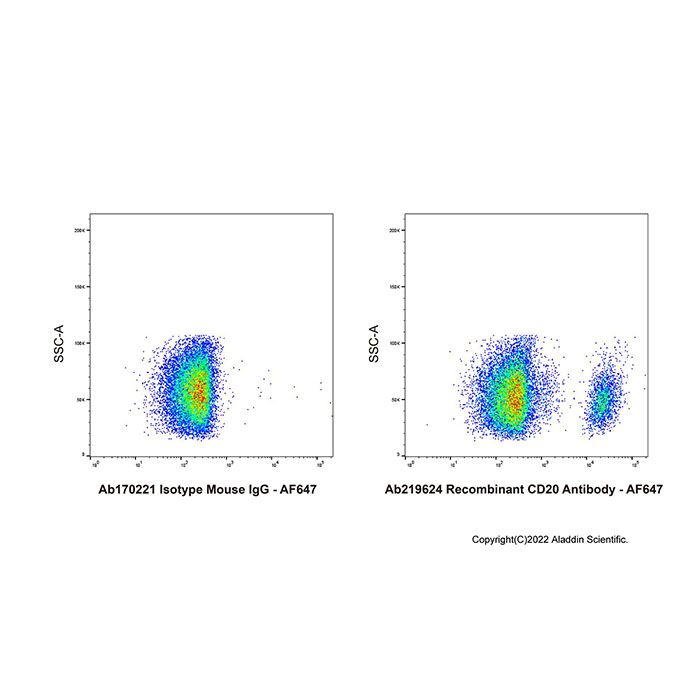 Recombinant CD20 Antibody