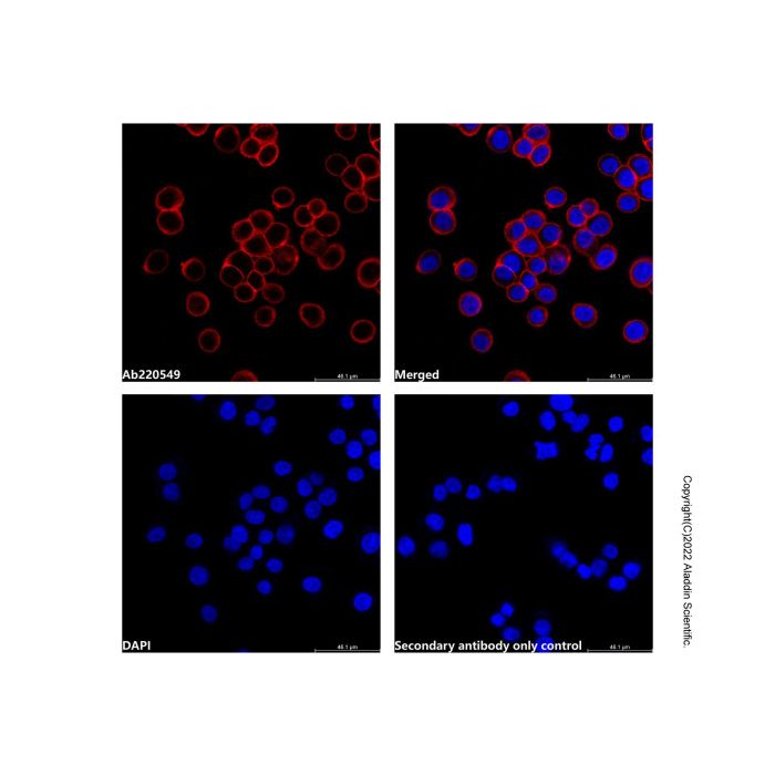 Goat Anti-Human IgG (LumiDye™ Red 670)