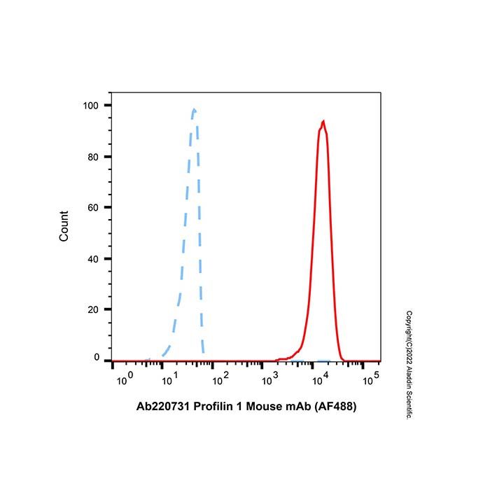 Profilin 1 Mouse mAb (AF488)