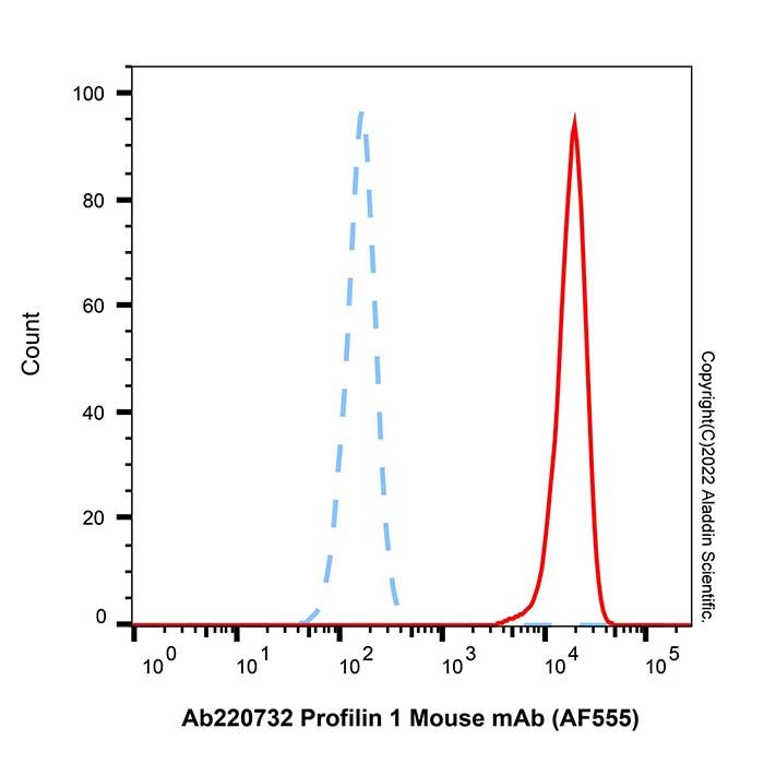 Profilin 1 Mouse mAb (AF555)