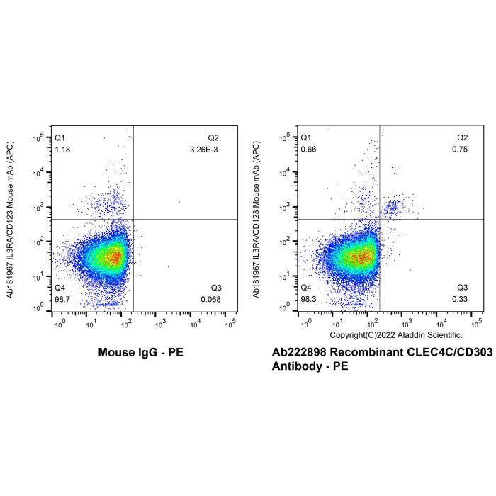 Recombinant CLEC4C/CD303 Antibody