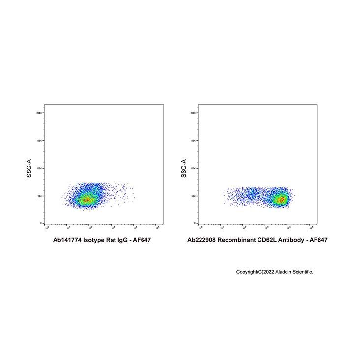 Recombinant CD62L Antibody