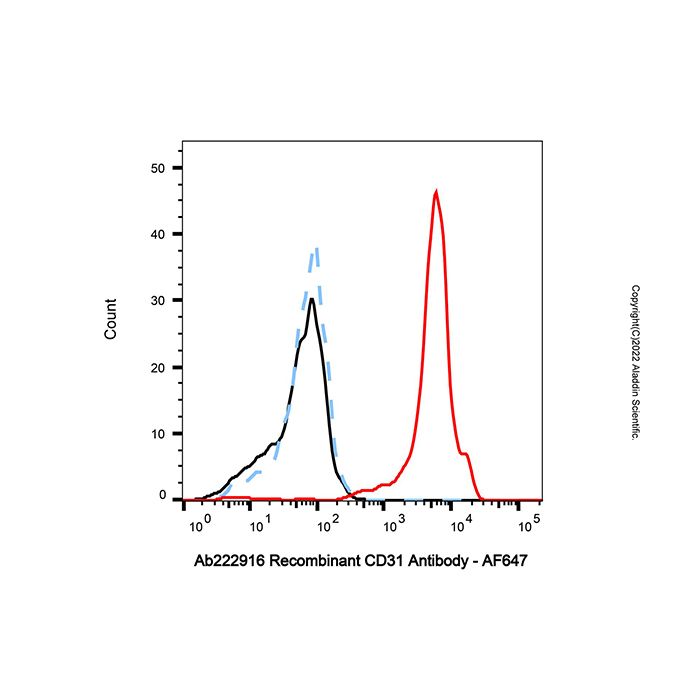Recombinant CD31 Antibody