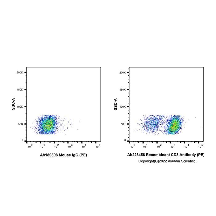 Recombinant CD3 Antibody (PE)