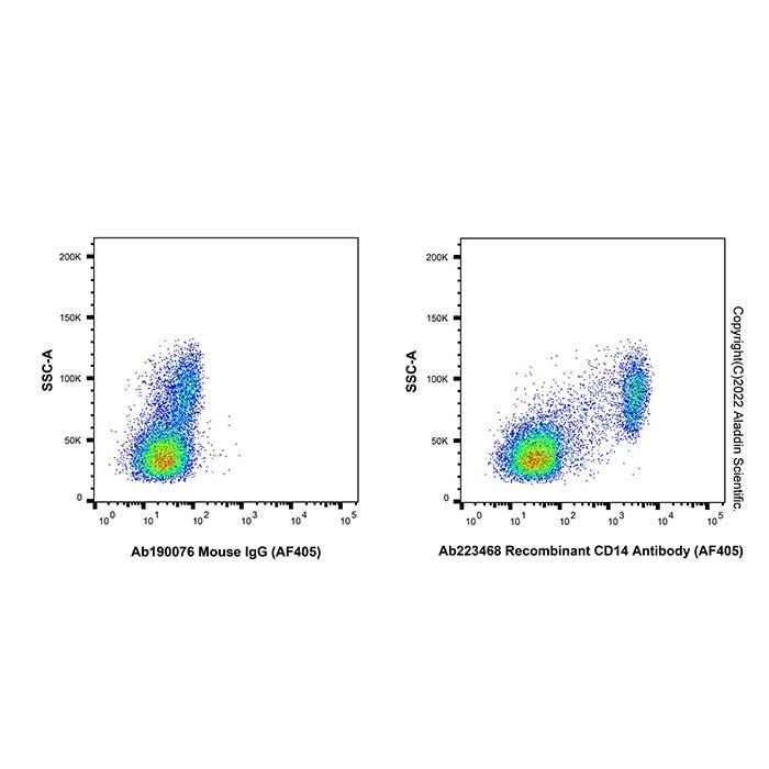 Recombinant CD14 Antibody (AF405)