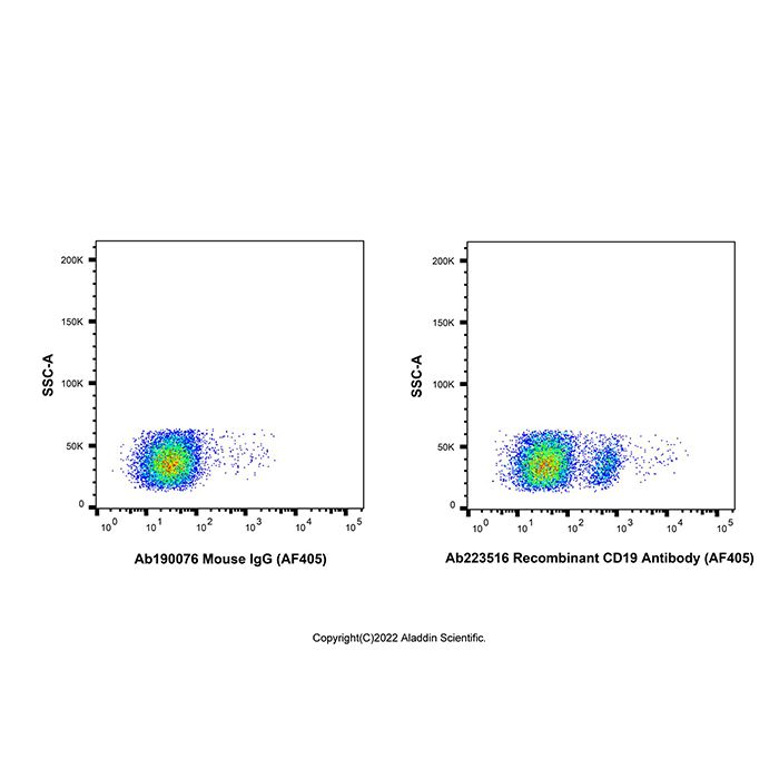 Recombinant CD19 Antibody (AF405)