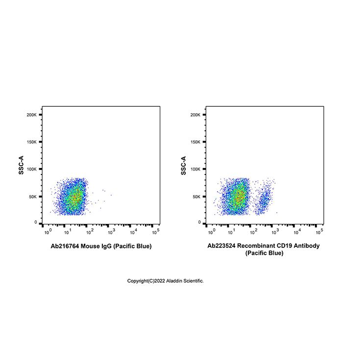 Recombinant CD19 Antibody (Pacific Blue)