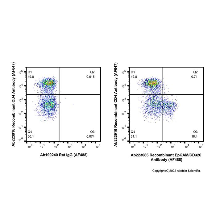 Recombinant EpCAM/CD326 Antibody (AF488)