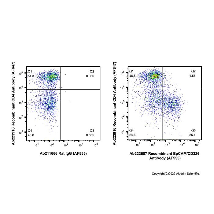 Recombinant EpCAM/CD326 Antibody (AF555)