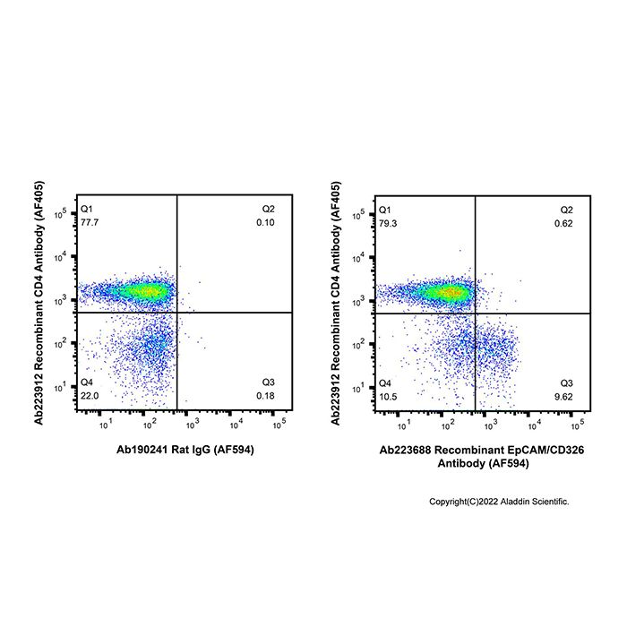 Recombinant EpCAM/CD326 Antibody (AF594)