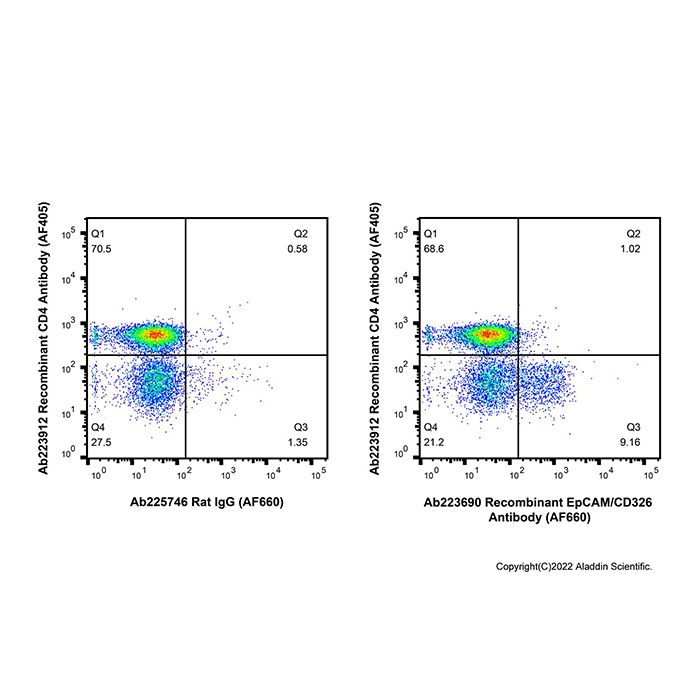 Recombinant EpCAM/CD326 Antibody (AF660)