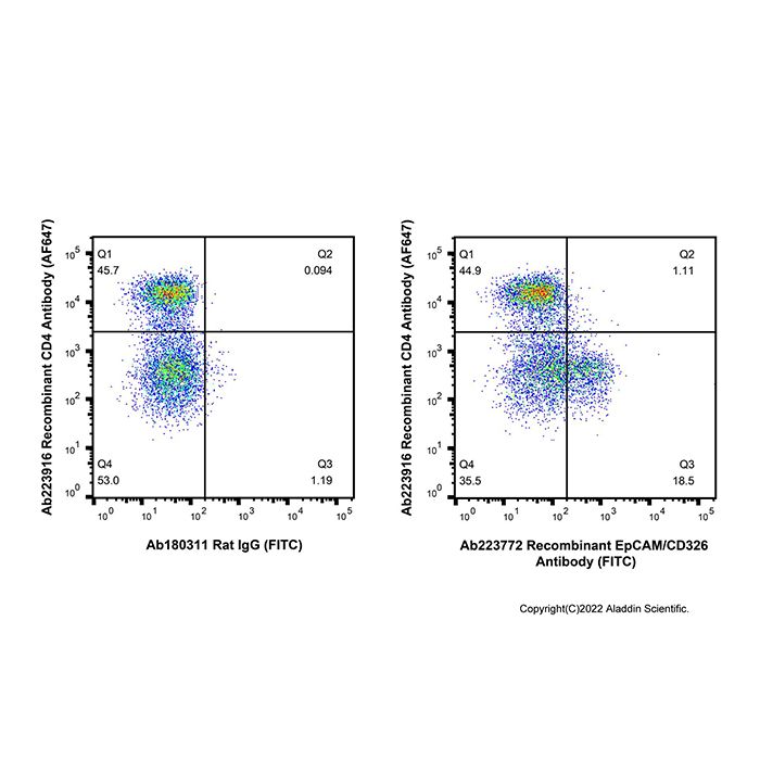 Recombinant EpCAM/CD326 Antibody (FITC)