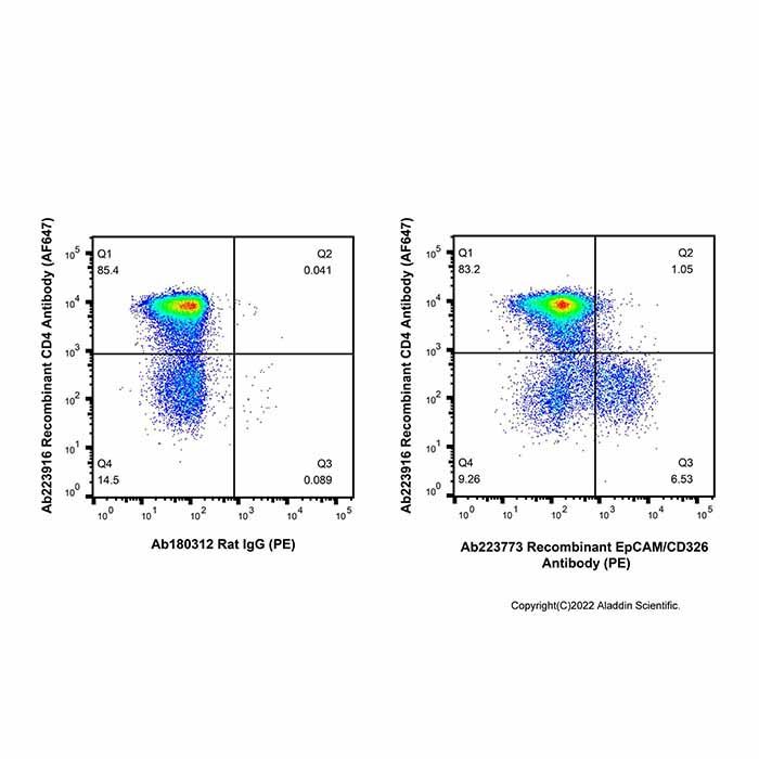 Recombinant EpCAM/CD326 Antibody (PE) 