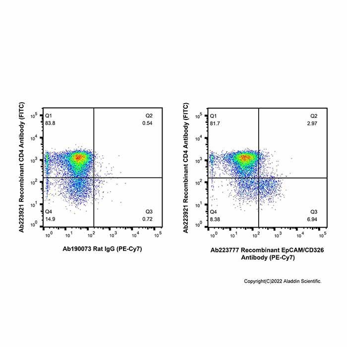 Recombinant EpCAM/CD326 Antibody (PE-Cy7)