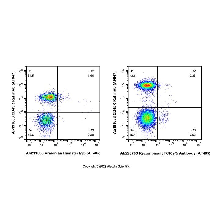 Recombinant TCR γ/δ Antibody (AF405)