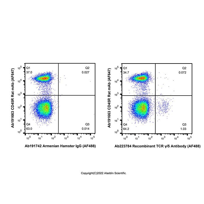 Recombinant TCR γ/δ Antibody (AF488)