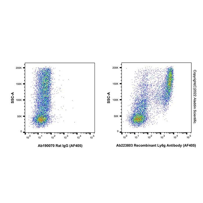 Recombinant Ly6g Antibody (AF405)
