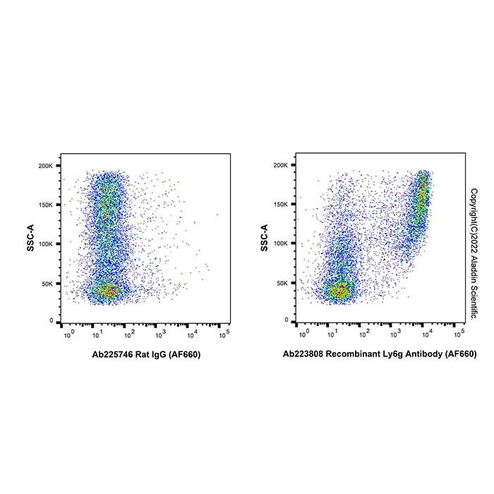 Recombinant Ly6g Antibody (AF660)