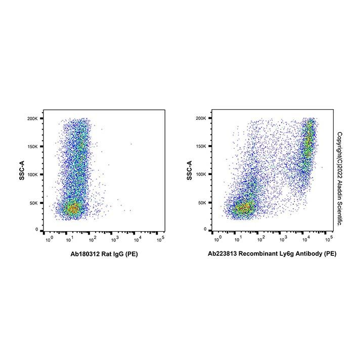 Recombinant Ly6g Antibody (PE)