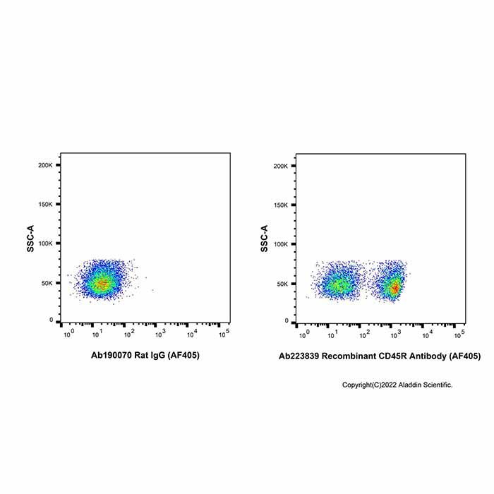 Recombinant CD45R Antibody (AF405)