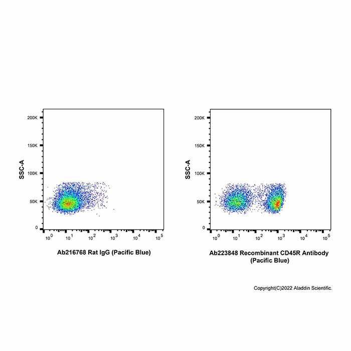 Recombinant CD45R Antibody (Pacific Blue)