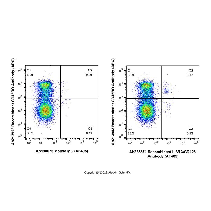 Recombinant IL3RA/CD123 Antibody (AF405)