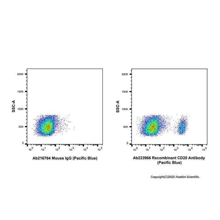 Recombinant CD20 Antibody (Pacific Blue)