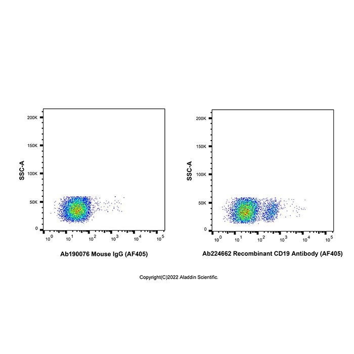 Recombinant CD19 Antibody (AF405)