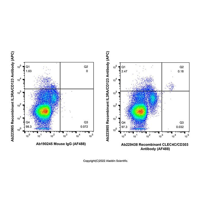 Recombinant CLEC4C/CD303 Antibody (AF488)