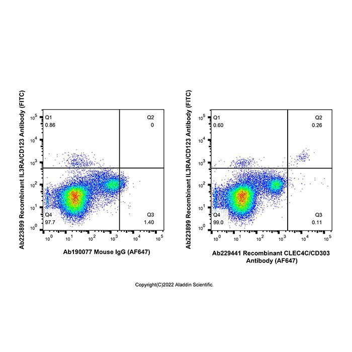 Recombinant CLEC4C/CD303 Antibody (AF647) 
