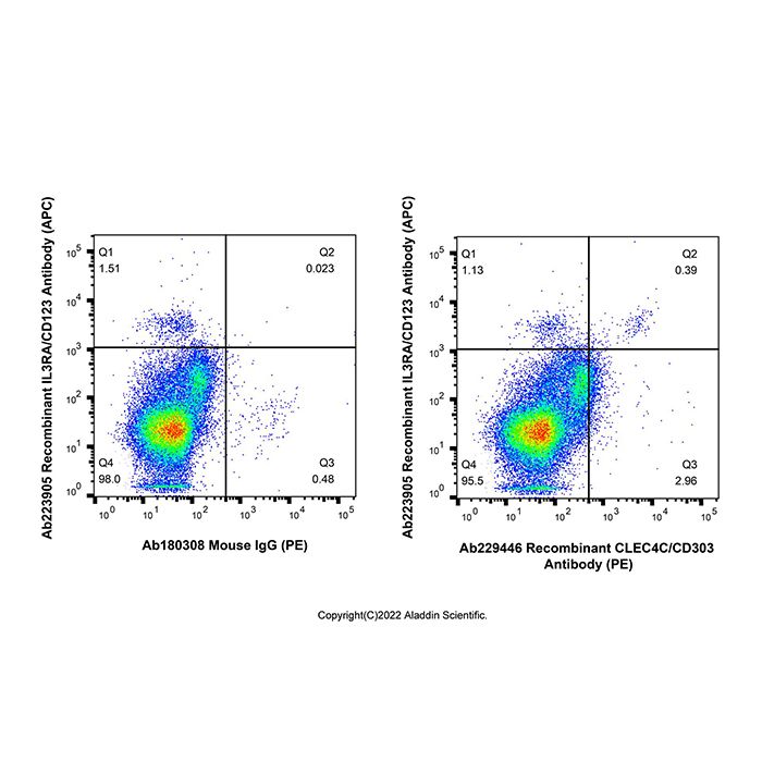 Recombinant CLEC4C/CD303 Antibody (PE) 
