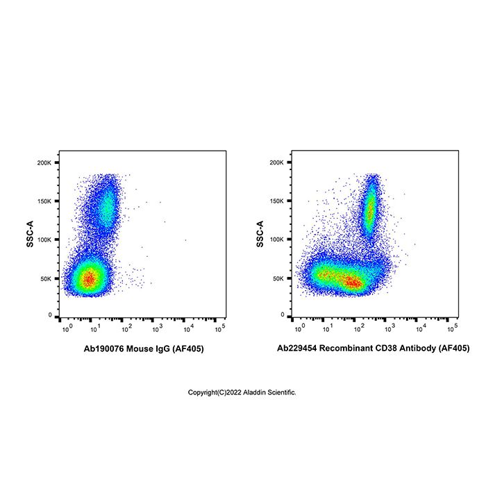 Recombinant CD38 Antibody (AF405)