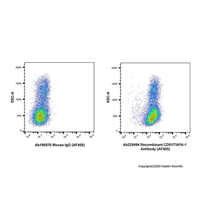 Recombinant CD81/TAPA-1 Antibody (AF405)