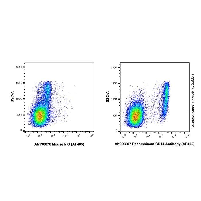 Recombinant CD14 Antibody (AF405)
