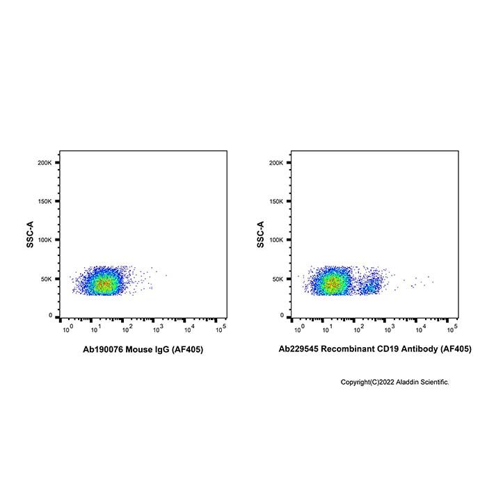 Recombinant CD19 Antibody (AF405)