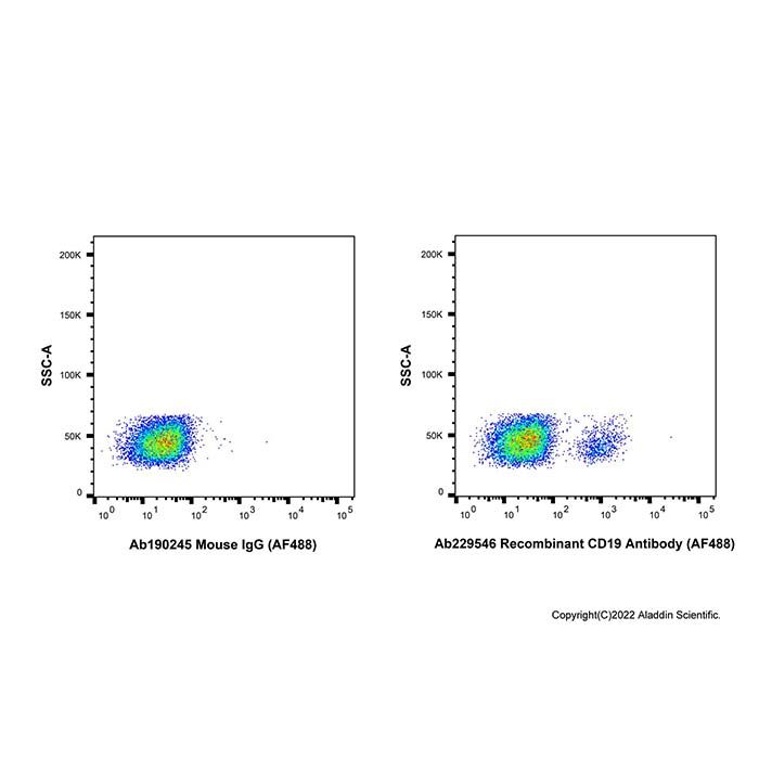 Recombinant CD19 Antibody (AF488) 