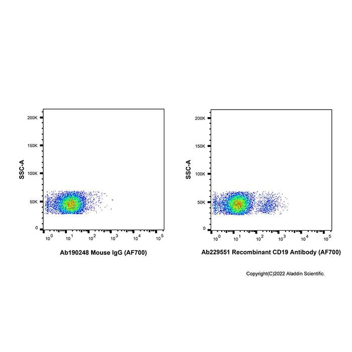 Recombinant CD19 Antibody (AF700)