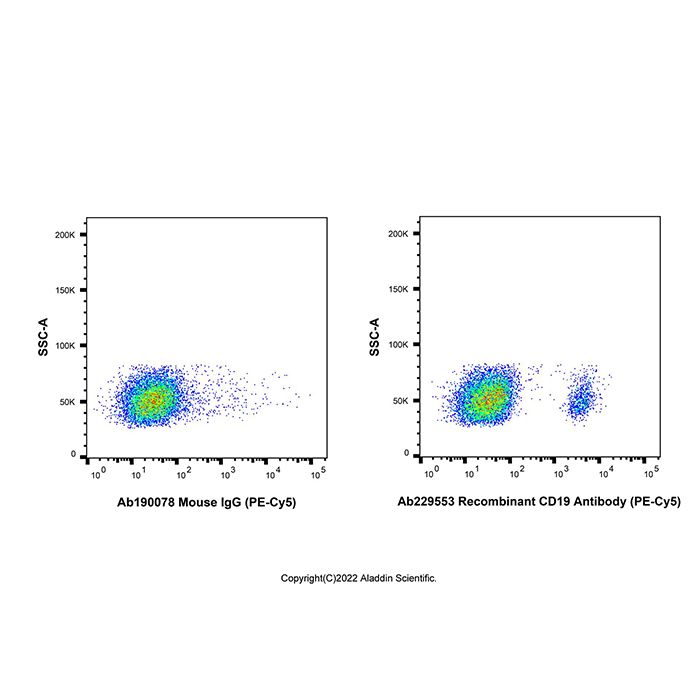 Recombinant CD19 Antibody (PE-Cy5)