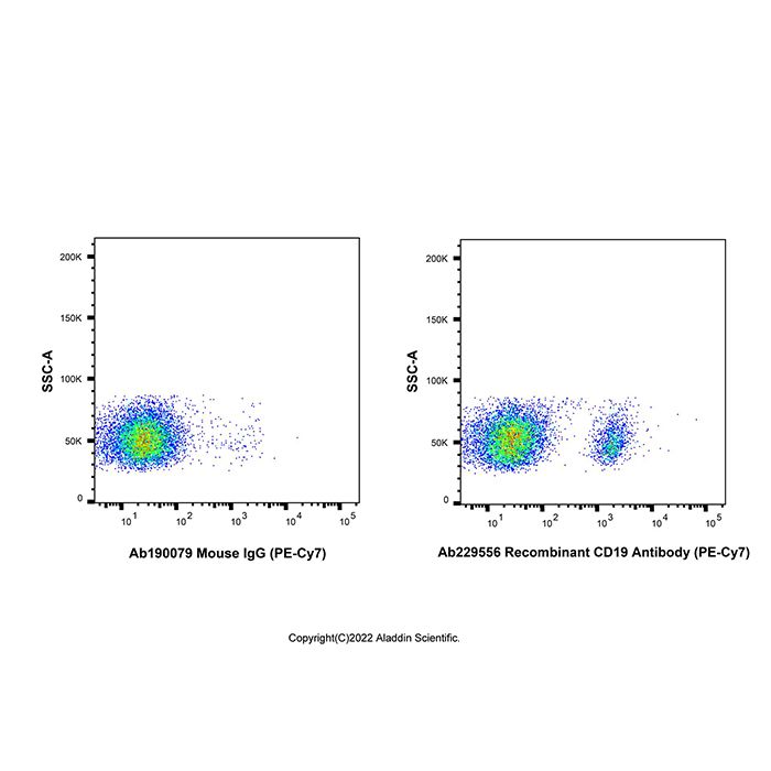 Recombinant CD19 Antibody (PE-Cy7)