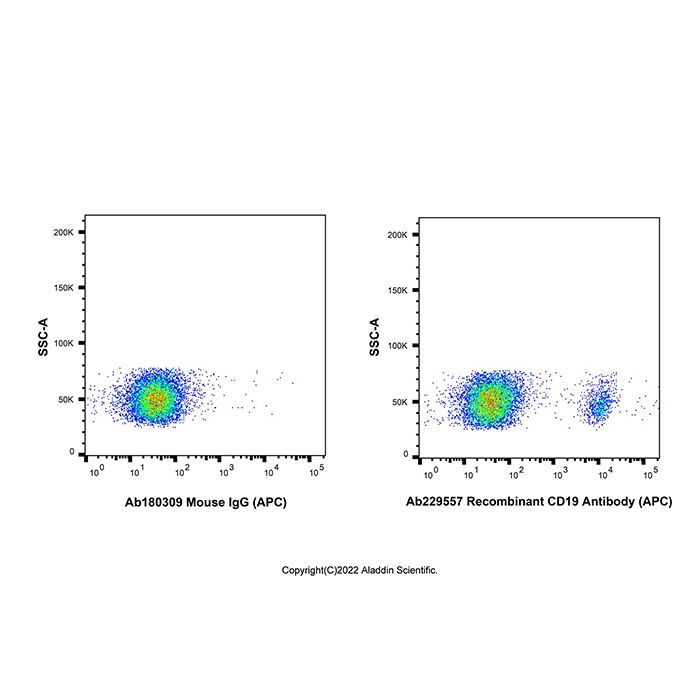 Recombinant CD19 Antibody (APC)