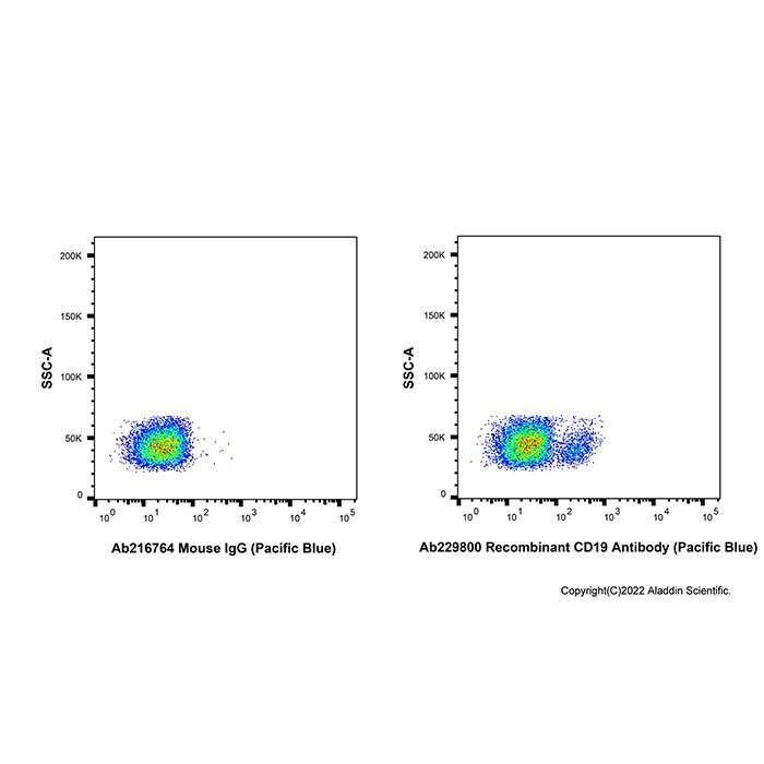 Recombinant CD19 Antibody (Pacific Blue)